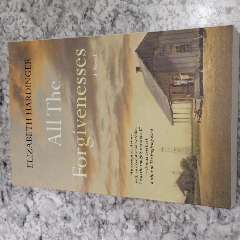 All The Forgiveness by Elizabeth Hardinger book